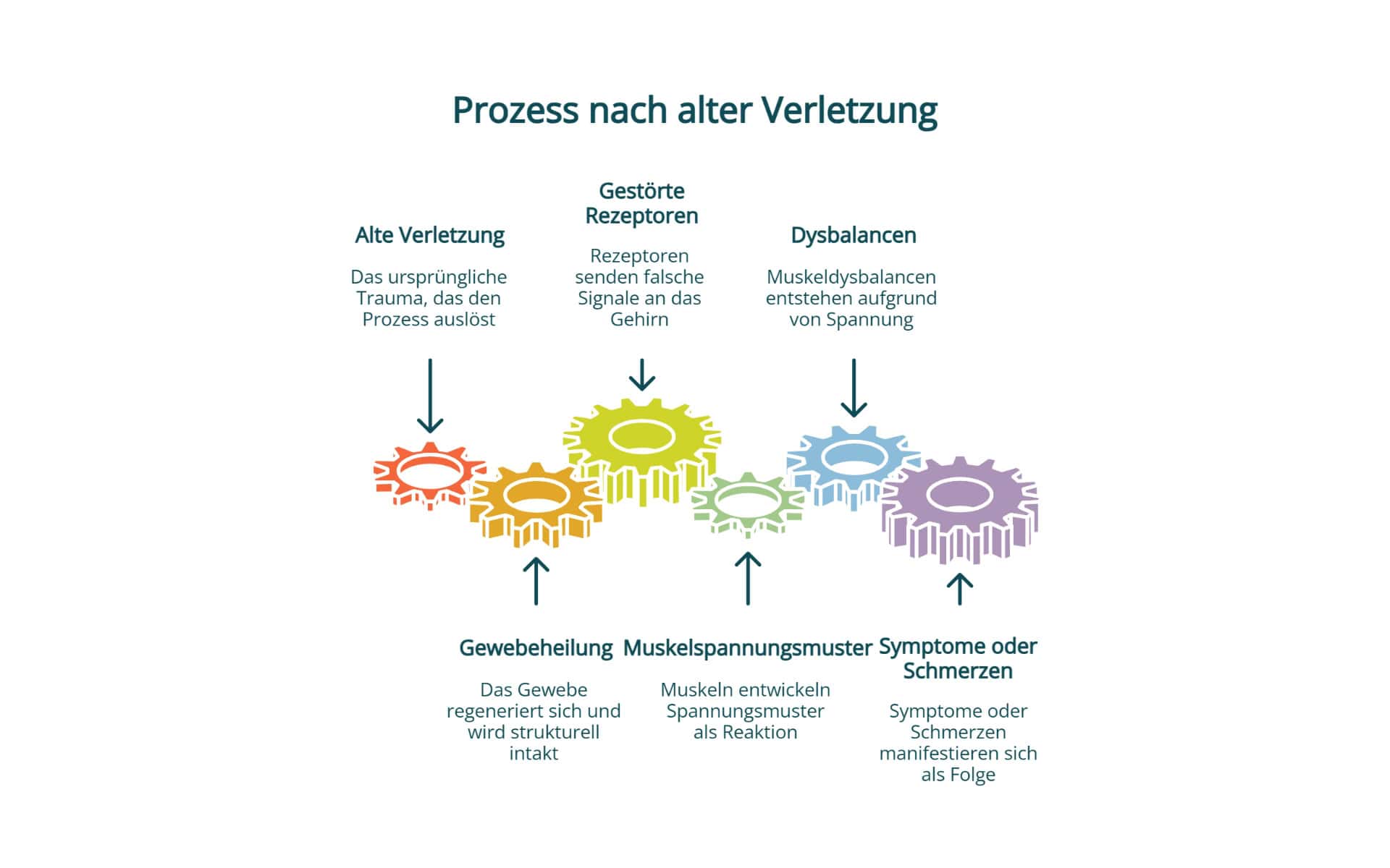 Rezeptoren in verletztem Gewebe beeinflussen den Körper